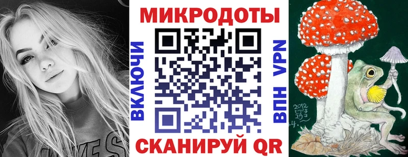 Псилоцибиновые грибы прущие грибы  Тихвин 